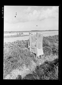 Privy alongside irrigation and drainage ditch for agricultural workers. Homestead, Florida. Sourced from the Library of Congress.