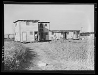  quarters for migrant agricultural workers. Lake Harbor, Florida. Sourced from the Library of Congress.