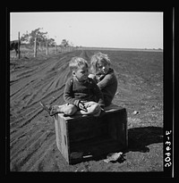 Children of agricultural laborer from North Carolina. Near Belle Glade, Florida. Sourced from the Library of Congress.