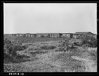 [Untitled photo, possibly related to:  migrant agricultural workers quarters near Belle Glade, Florida]. Sourced from the Library of Congress.