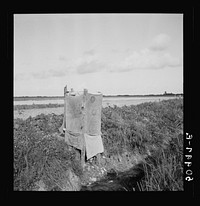 [Untitled photo, possibly related to: Privy alongside irrigation and drainage ditch for agricultural workers. Homestead, Florida]. Sourced from the Library of Congress.