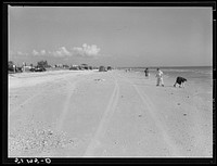 Beach on West coast of Florida, near Tampa. Sourced from the Library of Congress.