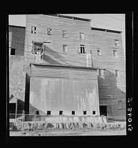 Section of fertilizer plant. Laurinburg, North Carolina. Sourced from the Library of Congress.