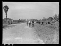 Migrant vegetable pickers and packing houseworkers returning from work. Belle Glade, Florida. Sourced from the Library of Congress.
