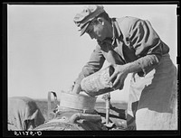 Migrant day laborer from Carolina mixing spray to kill white flies and nourish bean plants through leaves. Near Belle Glade, Florida.. Sourced from the Library of Congress.