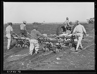 Tractor-driven combination bean planter and fertilizer used on large tracts of farmlands around Lake Okeechobee, Florida. Sourced from the Library of Congress.