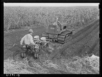 Tractor-driven combination bean planter and fertilizer used on large tracts of farmlands around Lake Okeechobee and Clewiston, Florida. Sourced from the Library of Congress.