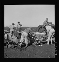 Tractor-driven combination bean planter and fertilizer machine used on many large tracts of land in Florida farming area. Near Lake Okeechobee, Florida. Sourced from the Library of Congress.
