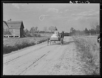 Colored tenant farmer taking home bags of fertilizer. Greene County, Georgia. Sourced from the Library of Congress.