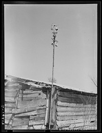 Birdhouse made of gourds on shed of tenant farmer. Greene County, Georgia. Sourced from the Library of Congress.