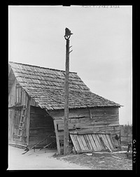 [Untitled photo, possibly related to: Bell on plantation. Greene County, Georgia]. Sourced from the Library of Congress.