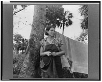 Wife of packinghouse worker, migrant from Missouri said "We have never lived like hogs before but we sure does now, it's no different from hog livvin." Canal Point, Florida. Sourced from the Library of Congress.