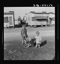 Migrant laborers children living in overcrowded camps with very bad sanitary conditions. Belle Glade, Florida. Sourced from the Library of Congress.