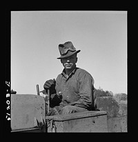 A migrant day laborer from North Carolina running a tractor near Lake Harbor, Florida. Sourced from the Library of Congress.