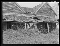 Abandoned tenant house. Greene County, Georgia. Sourced from the Library of Congress.