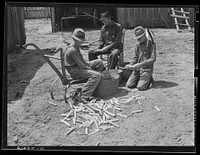 Mr. E.H. Wise and sons, shelling corn for planting (R.R.--Rural Rehabilitation). Coffee County, Alabama. Sourced from the Library of Congress.