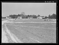 [Untitled photo, possibly related to: School, shop, church and community building. Gee's Bend, Alabama]. Sourced from the Library of Congress.
