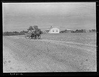 Ben Turner and family coming down driveway from his home in his wagon with his two mules. Flint River Farms, Georgia. Sourced from the Library of Congress.