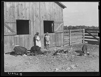Lonnie Smith's wife and child with their two sows and nineteen pigs to grow pork for home use and for sale. One of cash crops on Flint River Farms. Flint River Farms, Georgia. Sourced from the Library of Congress.