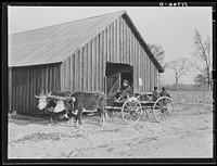 Cooperative grist mill. Prairie Farms, Alabama. Sourced from the Library of Congress.