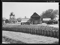 Turpentine still with barrels of resin in foreground. Iron City, Alabama. Sourced from the Library of Congress.