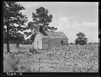  church near Manning, South Carolina. Sourced from the Library of Congress.