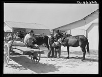 Combination filling station, garage, smith shop, grocery store. Frank Petty, owner of the wagon, has just had his mule shod, his corn ground, purchases some kerosene and is returning home.  R.F.D. Danville, Virginia, Pittsylvania County. Sourced from the Library of Congress.