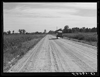 Cotton going to the gin in the evening. Marcella Plantation, Mileston, Mississippi Delta, Mississippi. Sourced from the Library of Congress.