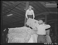 When the tobacco is brought inside the warehouse on the trailer it is taken off the sticks and packed in baskets for the auction sale.  Durham, North Carolina. Sourced from the Library of Congress.