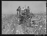 The rust cotton picker in field at Clover Hill Plantation, near Clarksdale, Mississippi Delta. Sourced from the Library of Congress.