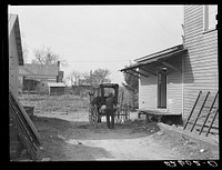John Newton hauling a sack of Red Dog pig food from the store in Stem. Granville County, North Carolina. Sourced from the Library of Congress.