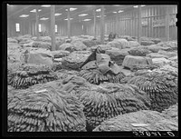 Baskets of tobacco on warehouse floor before auction sale. Durham, North Carolina. Sourced from the Library of Congress.