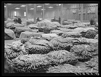 [Untitled photo, possibly related to: Baskets of tobacco on warehouse floor before auction sale. Durham, North Carolina]. Sourced from the Library of Congress.