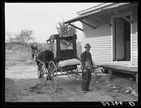 John Newton hauling a sack of Red Dog pig feed from the store in Stem, Granville County, North Carolina, to his farm, the old Elijah Roberts place about four miles away, which he has recently bought. See subregional notes (Odum) November 16, 1939. Sourced from the Library of Congress.