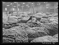 [Untitled photo, possibly related to: Baskets of tobacco piled on top of each other after being sold at auction. Here they are picked up by the trucks which haul them to the cigarette factories. This is in the Liberty warehouse. Durham, North Carolina]. Sourced from the Library of Congress.