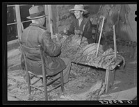 Mr. and Mrs. Fred Wilkins grading and stripping tobacco in strip house on their farm. Tallyho, near Stem, Granville County, North Carolina. See subregional notes (Odum) November 16, 1939. Sourced from the Library of Congress.