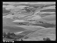 [Untitled photo, possibly related to: Wheat land. Darker fields are summer fallow. Nez Perce County, Idaho] by Russell Lee