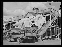 Taking sacks of hops into the kiln. Yakima Chief hop ranch, Yakima County, Washington by Russell Lee