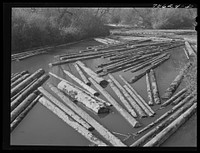Long Bell Lumber Company, Cowlitz County, Washington. Log pond by Russell Lee