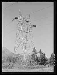 Power tranmission tower leading from hydroelectric plant at Bonneville Dam, Oregon by Russell Lee