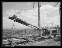 Long Bell Lumber Company, Cowlitz County, Washington. Loading device used at a spar tree for placing logs on railroad cars from the yard by Russell Lee