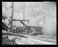 [Untitled photo, possibly related to: Long Bell Lumber Company, Cowlitz County, Washington. Yarding logs] by Russell Lee
