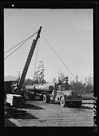 Logs arriving at mill. Tillamook, Oregon by Russell Lee