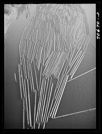 [Untitled photo, possibly related to: Log raft in Willamette River. Portland, Oregon] by Russell Lee