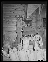 Filling sacks with red clover seed. Ontario, Oregon by Russell Lee