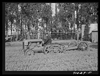 Salinas, California. Intercontinental Rubber Producers. A machine which digs guayule seedlings in the nursery. After the seedlings are dug, they must be separated by hand before transplanting by Russell Lee