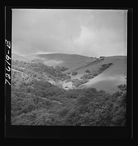 [Untitled photo, possibly related to: San Benito County, California. Low foothills which are grazing ground for cattle and sheep] by Russell Lee