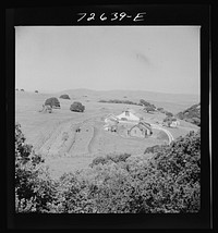 San Benito County, California. Farmstead in the low hills by Russell Lee