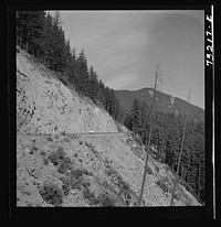 Willamette National Forest, Lane County, Oregon. Mountains and forests along highway by Russell Lee
