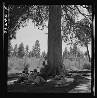[Untitled photo, possibly related to: Klamath Falls, Oregon. Picnickers at city park] by Russell Lee